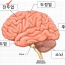 성원과학 이미지