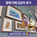 카페;김감자 | [강원도/동해] 동해 카페 김감자 방문기 | 고양이 일러스트 감성 가득한 카페에서 힐링 ☕🐾