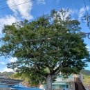 두모경로당 이미지