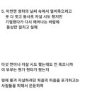 일산 여중생 백골시신 사건의 전말 이미지