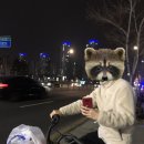 그래도완참치 네이버블로그