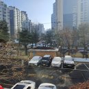 선고유예 이미지