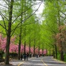 [계곡] 5월28일(토요당일) 금오산, 봄을 떠나보내는 약사암 이미지