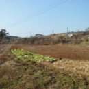 출포리 마을회관 이미지