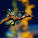 어울림국제결혼 이미지