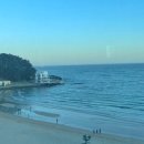 나무늘보호텔 이미지