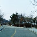 해마루촌60 티스토리