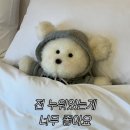 [일상] 4월도 벌써 끝이 나는군요.