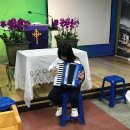 아코디언 이미지