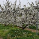 서호농장 이미지