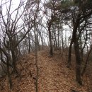신바람 공주의 푹신한 낙엽길을 오르내리며! - 공주시 의당면 봉화산(222.5m)~과란봉(345m)~양물직이산(193.8m) 이미지