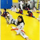 용인대 아이튼튼 태권도장 이미지