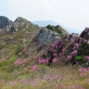 제 1,558차[04월14일] 강진,해남 주작산,덕룡산 산행 예약상황 이미지