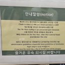 블루스프링 부띠끄 호텔 | 내돈 [협재/호텔] 협재해수욕장 바로 앞! 완전 앞! 블루스프링 부띠끄호텔