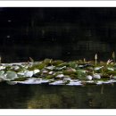 동작역(4) 이미지