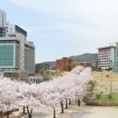 경일대학교 이미지