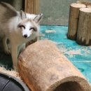 덕진체련공원 테니스장 | 3월의 동물원 소식