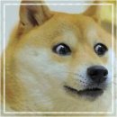 1223 | 로또 1223회 후기