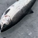 덕봉5천 이미지