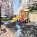 미르공인중개사사무소 이미지