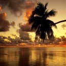 아름다운세상 이미지