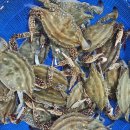 활암꽃게 큰것 2-3미 엄청 싱싱합니다. 병어가 가장 맛있는철 !! 30미 병어