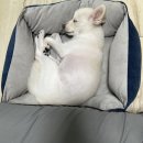 홈플러스 봉천점 이미지