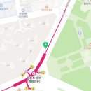 노비스자동차유리