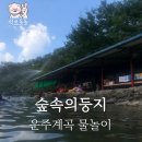 숲속의 둥지 | 운주 계곡/대전 근교 물놀이 추천. 「숲속의둥지」 아쉬운후기.
