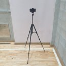 인아스포츠 이미지