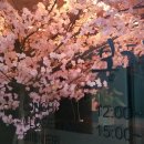 세양스파랜드 이미지