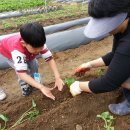 양정농장 이미지