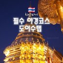 치앙마이 도이스텝 입장료, 야간 야경 방문 후기