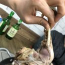 포천맛집 송가네 능이백숙 맛있는곳 모임장소로 추천