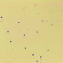 고강동물병원 이미지