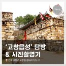 고산유적지 진입로 구간 | 전북 고창 <고창읍성> 벚꽃구경! 알고보니 드라마 촬영지!? 관람&amp;사진촬영 후기