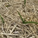 홍산농장 이미지