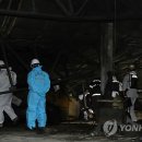 해태공업사 이미지