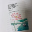 2024년 부산국제 불교박람회 방문후기