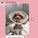 쿨펫동물병원 킨텍스점 이미지