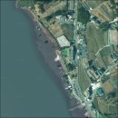 순천-35호 이미지