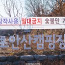 서울 바베큐 캠핑장, 초안산 캠핑장 명당 데크 T1