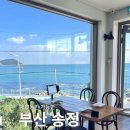 송정식당 | 거루캥테이블 부산 송정 애견동반 가능 식당 솔직후기