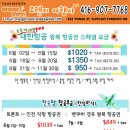 오렌지여행사 이미지