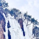 인제08 | 인제황태해장국 진국에 치즈감자전까지 기가막히게 맛있어요