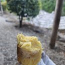 지리산흙집세상