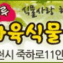 제천뉴스저널