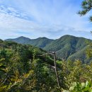 용계저수지 둘레길 이미지