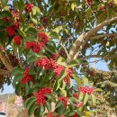 클린하나로(주) 이미지