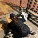 오월의햇살